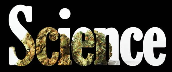 Wissenschaftlicher Schriftzug Mit Marihuana Auf Schwarzem Hintergrund — Stockfoto