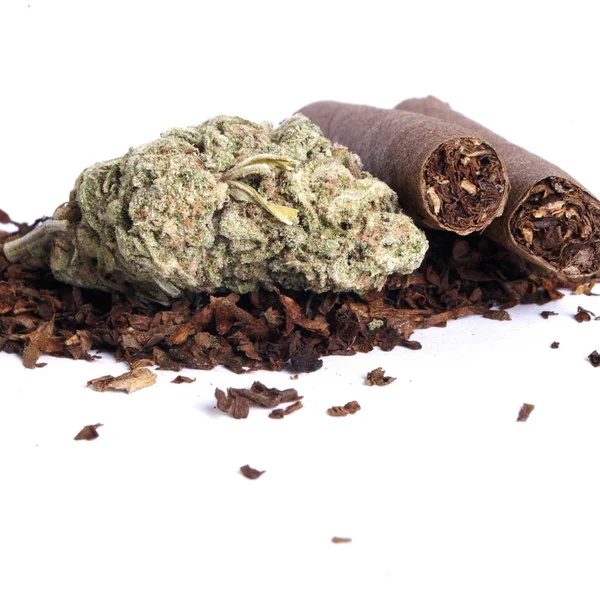 Marijuana Secca Tabacco Concetto Tossicodipendenza Concetto Marijuana Medica — Foto Stock