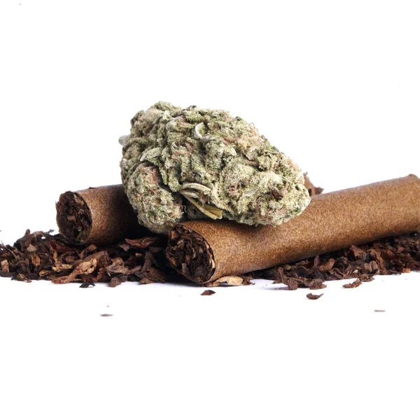 Marihuana Tabaco Secos Concepto Drogadicción Concepto Marihuana Medicinal — Foto de Stock