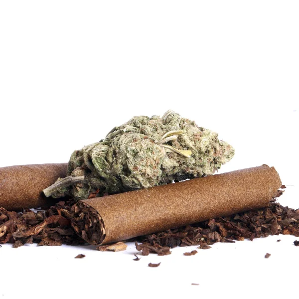 Marijuana Secca Tabacco Concetto Tossicodipendenza Concetto Marijuana Medica — Foto Stock