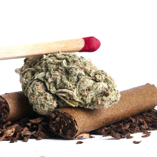Marijuana Cannabis Droga Studio Morte Vita — Foto Stock