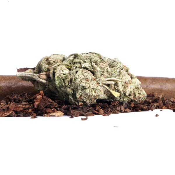 Marihuana Tabaco Secos Concepto Drogadicción Concepto Marihuana Medicinal — Foto de Stock