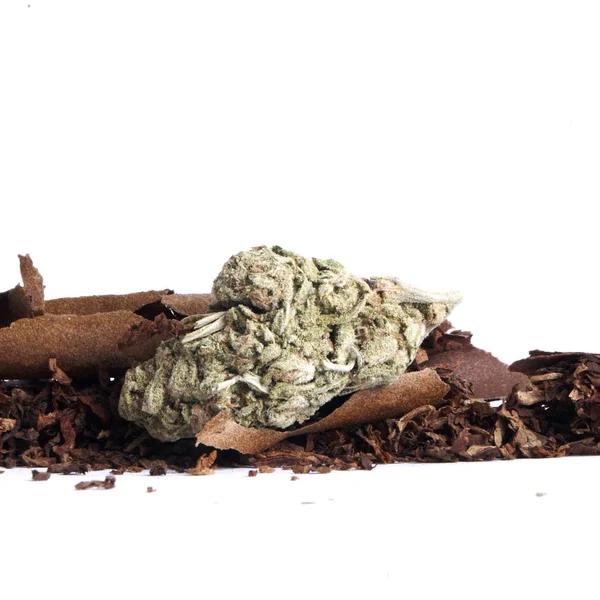 Dried Marijuana Tobacco Drug Addiction Concept Medical Marijuana Concept — Stock Photo, Image