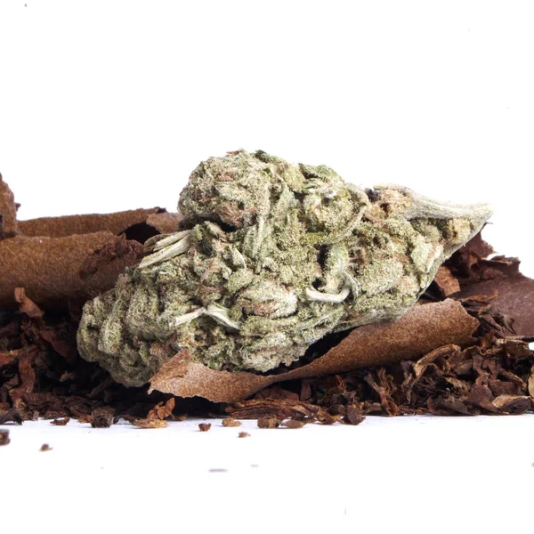 Getrocknetes Marihuana Und Tabak Drogenabhängigkeit Medizinisches Marihuana Konzept — Stockfoto