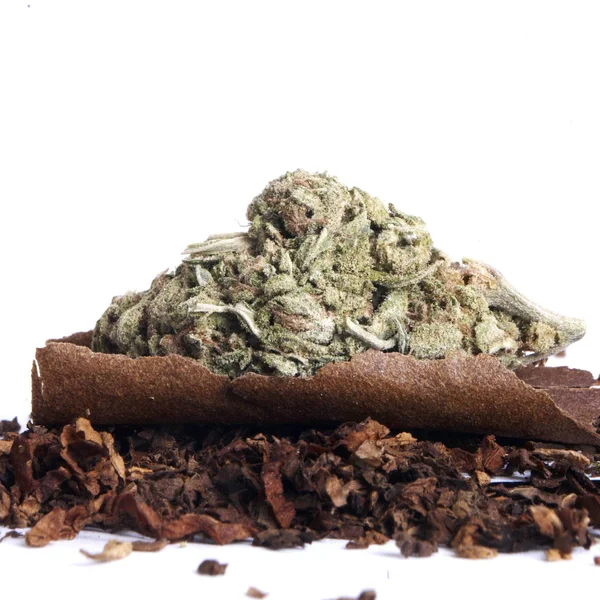 Marihuana Tabaco Secos Concepto Drogadicción Concepto Marihuana Medicinal —  Fotos de Stock