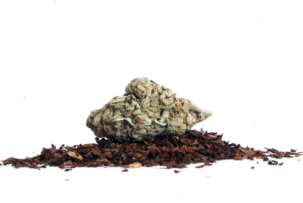 Αποξηραμένη Μαριχουάνα Και Καπνός Έννοια Του Εθισμού Στα Ναρκωτικά Ιατρική — Φωτογραφία Αρχείου
