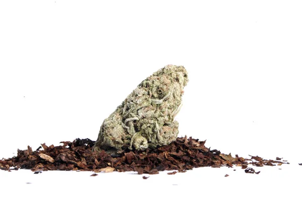 Marijuana Secca Tabacco Concetto Tossicodipendenza Concetto Marijuana Medica — Foto Stock