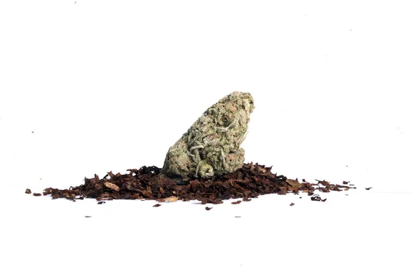 Αποξηραμένη Μαριχουάνα Και Καπνός Έννοια Του Εθισμού Στα Ναρκωτικά Ιατρική — Φωτογραφία Αρχείου