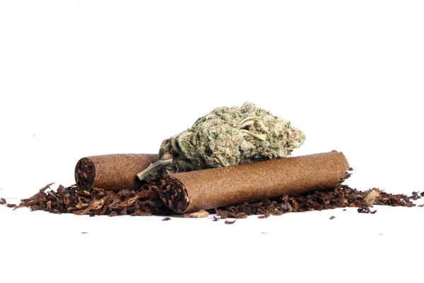 Maconha Seca Tabaco Conceito Toxicodependência Conceito Maconha Medicinal — Fotografia de Stock