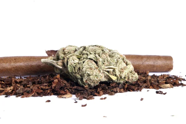 Marijuana Secca Tabacco Concetto Tossicodipendenza Concetto Marijuana Medica — Foto Stock