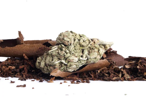 Getrocknetes Marihuana Und Tabak Drogenabhängigkeit Medizinisches Marihuana Konzept — Stockfoto