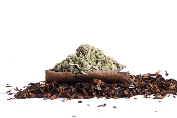 Suszone Marihuanę Tytoń Koncepcja Uzależnienia Narkotyków Koncepcja Medyczna Marihuana — Zdjęcie stockowe
