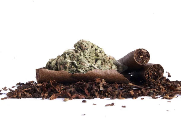 Marijuana Secca Tabacco Concetto Tossicodipendenza Concetto Marijuana Medica — Foto Stock