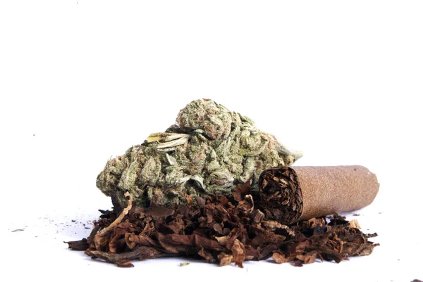 Sušená Marihuana Tabák Koncept Drogové Závislosti Koncepce Lékařské Marihuany — Stock fotografie