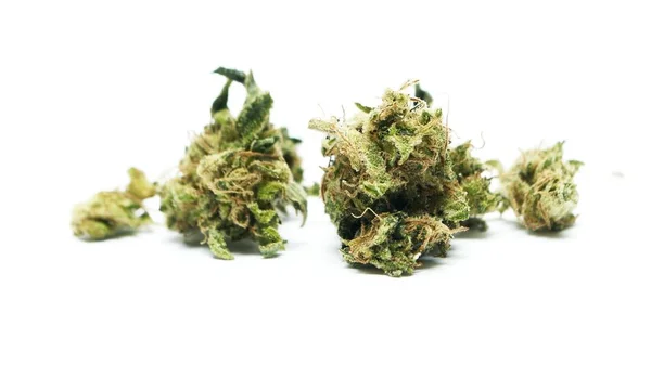 Marijuana Narkotikamissbruk Koncept Medicinsk Marijuana Concept — Stockfoto