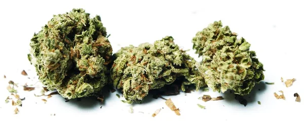 Marijuana Drug Addiction Concept Medical Marijuana Concept — Stock Photo, Image