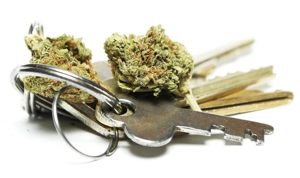 Torkad Marijuana Och Gäng Nycklar Narkotikamissbruk Koncept Medicinsk Marijuana Concept — Stockfoto