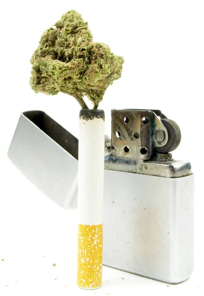 Marijuana Cannabis Drogues Studio Nature Morte — Photo