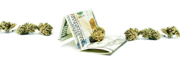 Marijuana and Money — Stock Photo, Image