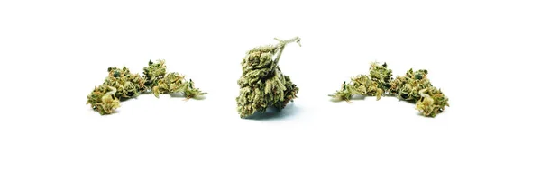 Marijuana Conceito Toxicodependência Conceito Maconha Medicinal — Fotografia de Stock