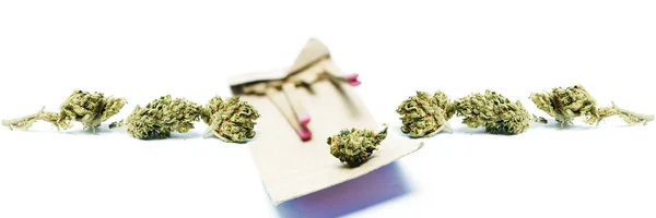 Sušená Marihuana Zápalky Koncept Drogové Závislosti Koncepce Lékařské Marihuany — Stock fotografie