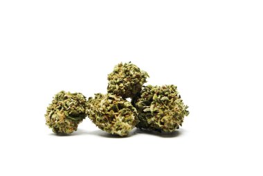 Kurutulmuş marijuana. Uyuşturucu bağımlılığı kavramı. Tıbbi esrar kavramı 
