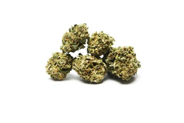 Kurutulmuş marijuana. Uyuşturucu bağımlılığı kavramı. Tıbbi esrar kavramı 