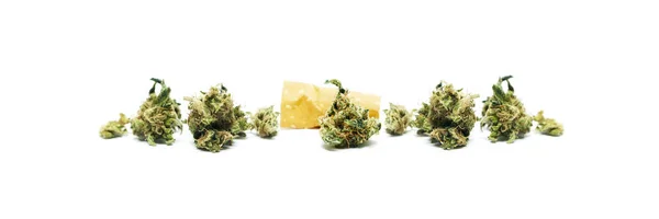 Marihuana Getrocknet Drogenabhängigkeit Medizinisches Marihuana Konzept — Stockfoto