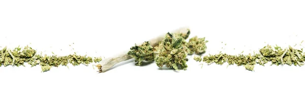 Gedroogde Marihuana Drugsverslaving Concept Medisch Marihuana Concept — Stockfoto