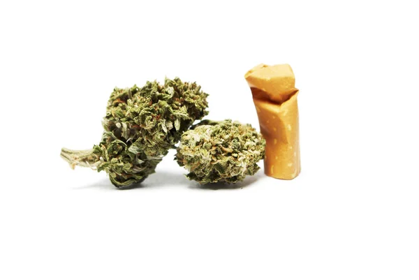 Vista Cerca Marihuana Seca Filtro Cigarrillos Concepto Drogadicción Concepto Marihuana — Foto de Stock