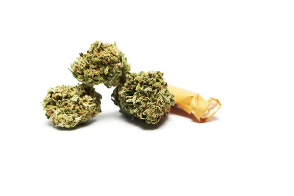 Kurutulmuş Marihuana Sigara Filtresi Uyuşturucu Bağımlılığı Kavramı Tıbbi Marihuana Kavramı — Stok fotoğraf