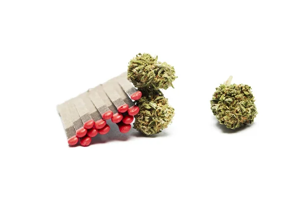 Gedroogde Marihuana Wedstrijden Drugsverslaving Concept Medisch Marihuana Concept — Stockfoto