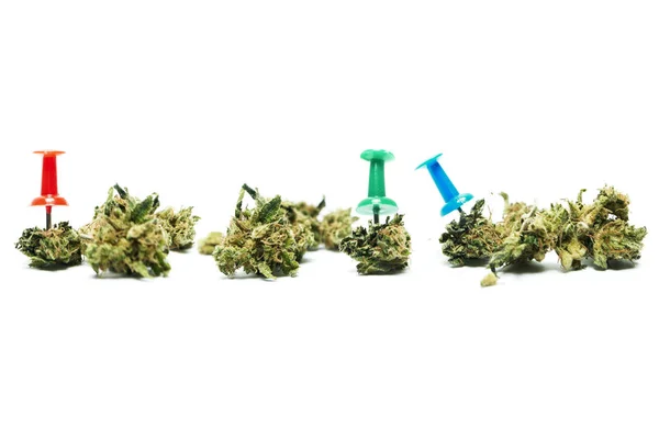 マリファナと大麻 概念的なポスター 薬物と健康 — ストック写真