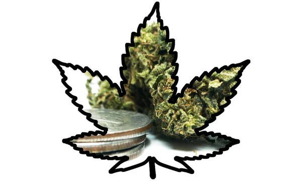 Marihuana Cannabis Cartel Conceptual — Foto de Stock