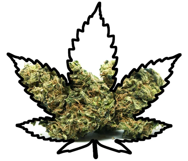 Marijuana Cannabis Cartaz Conceptual — Fotografia de Stock