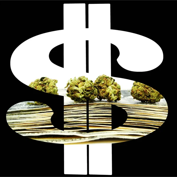 Marihuana Cannabis Póster Conceptual Con Dinero Dólares — Foto de Stock