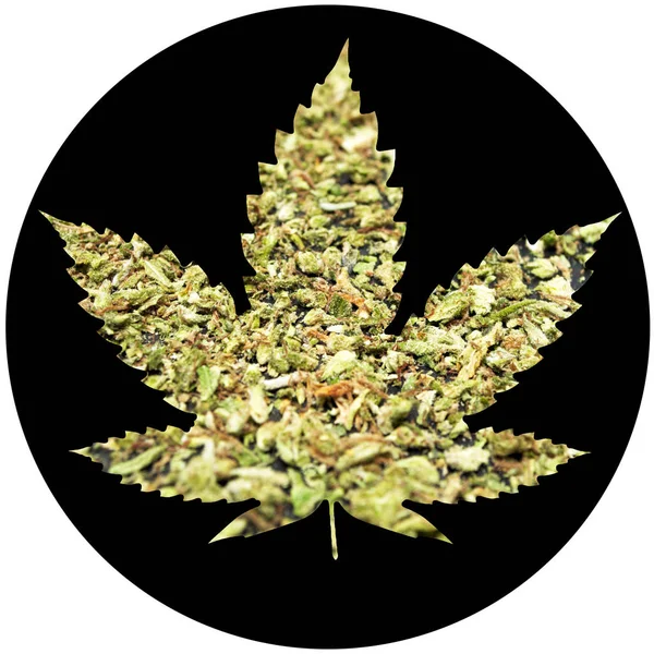 Marijuana Cannabis Poster Concettuale — Foto Stock