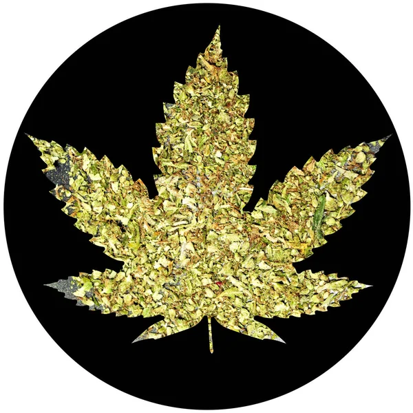 Marihuana Cannabis Cartel Conceptual —  Fotos de Stock