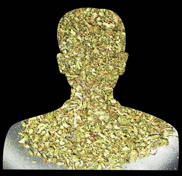 Marijuana Cannabis Conceptual Poster User Icon — Stock Photo, Image