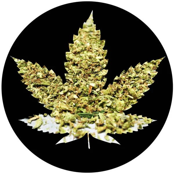 Marijuana Cannabis Cartaz Conceptual — Fotografia de Stock