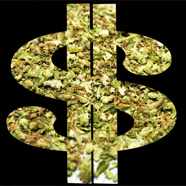 Marihuana Cannabis Póster Conceptual Con Dinero Dólares —  Fotos de Stock