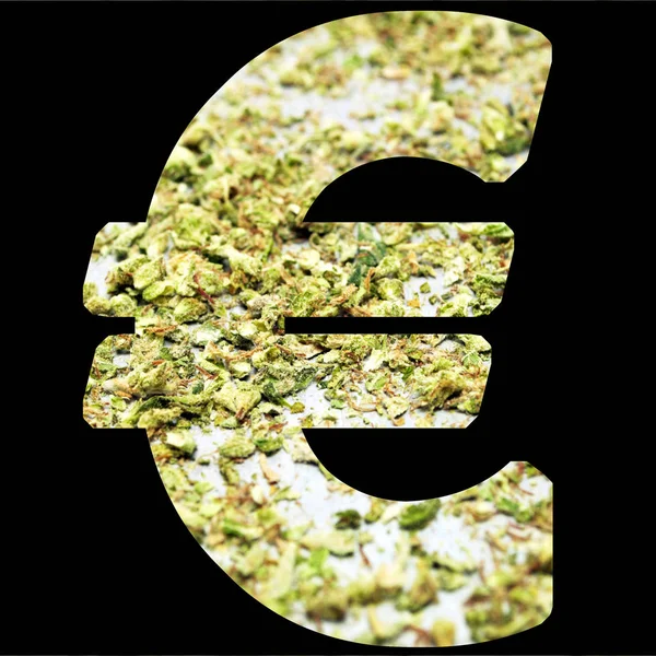 Marihuána Kannabisz Fogalmi Poszter Euró Pénz — Stock Fotó