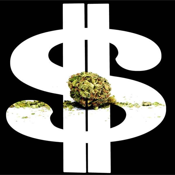 Marihuana Cannabis Póster Conceptual Con Dinero Dólares —  Fotos de Stock