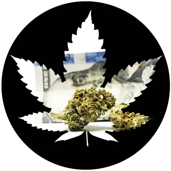 Marijuana Cannabis Poster Concettuale — Foto Stock