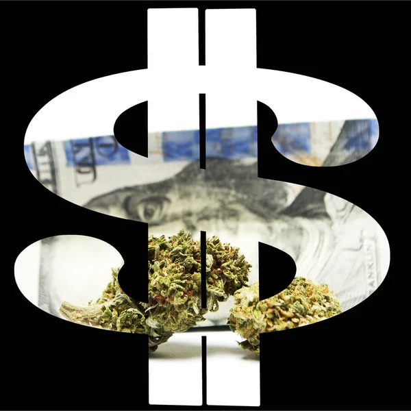 Marihuana Cannabis Póster Conceptual Con Dinero Dólares — Foto de Stock