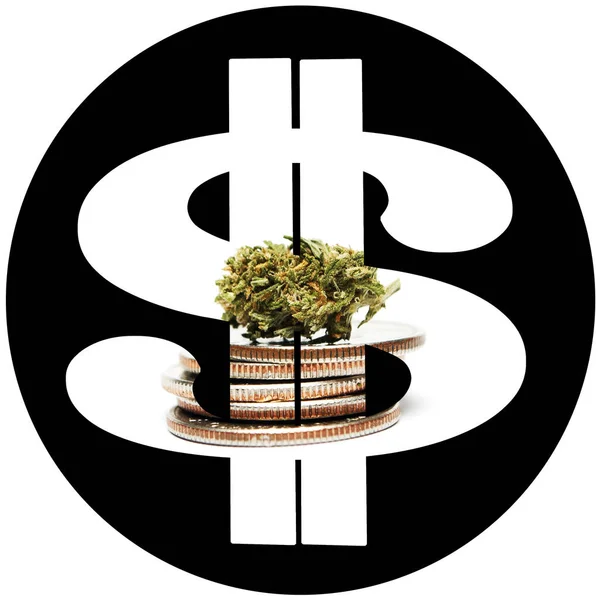 Marijuana Cannabis Cartaz Conceitual Com Dinheiro Dólares — Fotografia de Stock