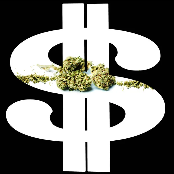 Marihuana Cannabis Conceptuele Poster Met Dollar Geld — Stockfoto