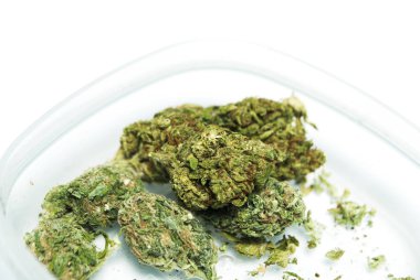 Plastik konteynırda kurutulmuş marijuana. Uyuşturucu bağımlılığı kavramı. Tıbbi esrar kavramı 