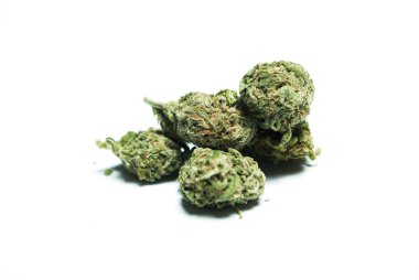 Kurutulmuş marijuana. Uyuşturucu bağımlılığı kavramı. Tıbbi esrar kavramı 