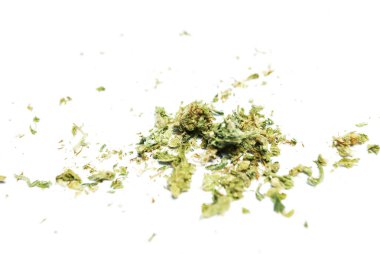 Kurutulmuş marijuana. Uyuşturucu bağımlılığı kavramı. Tıbbi esrar kavramı 